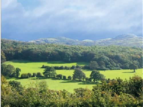 Llanferres The Druid Inn מראה חיצוני תמונה
